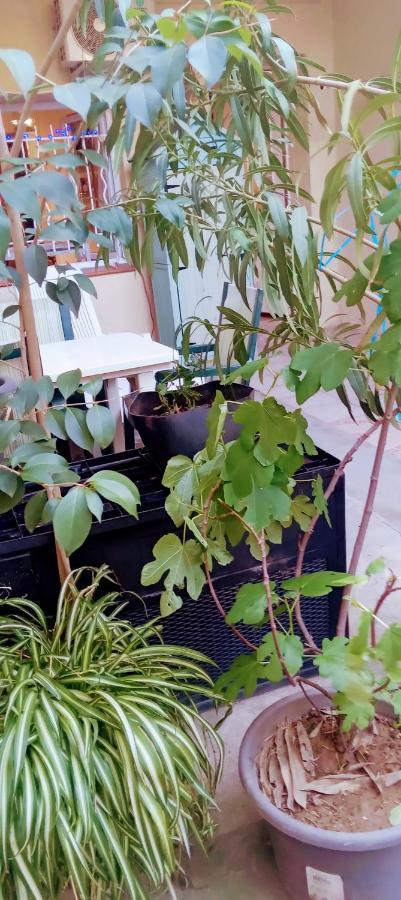 Joli Studio Avec Jardin Espira-de-l'Agly Ngoại thất bức ảnh